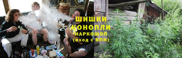 дмт Алексин
