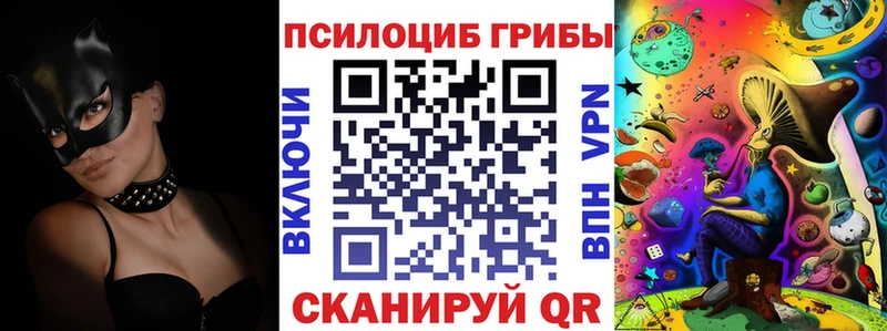 Псилоцибиновые грибы Psilocybe  Пустошка 
